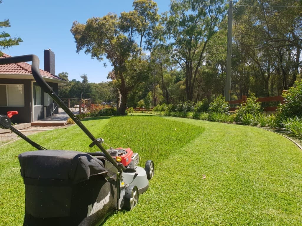 Lawn Maintenance